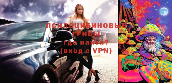 ПСИЛОЦИБИНОВЫЕ ГРИБЫ Касимов