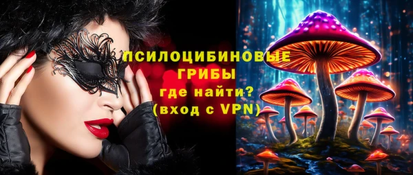 круглые Инсар