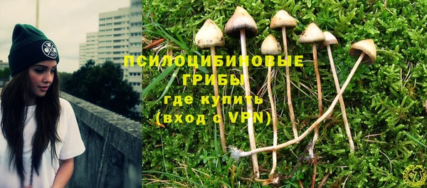 jwh Каменногорск