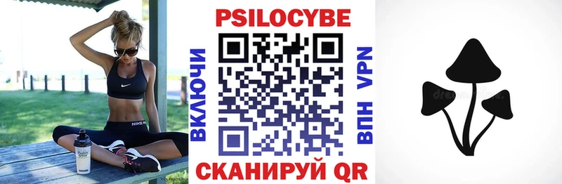 Купить закладки  Каменногорск  Галлюциногенные грибы Cubensis 
